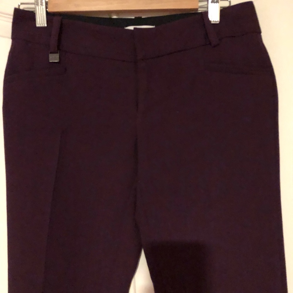 Calvin Klein Pants !